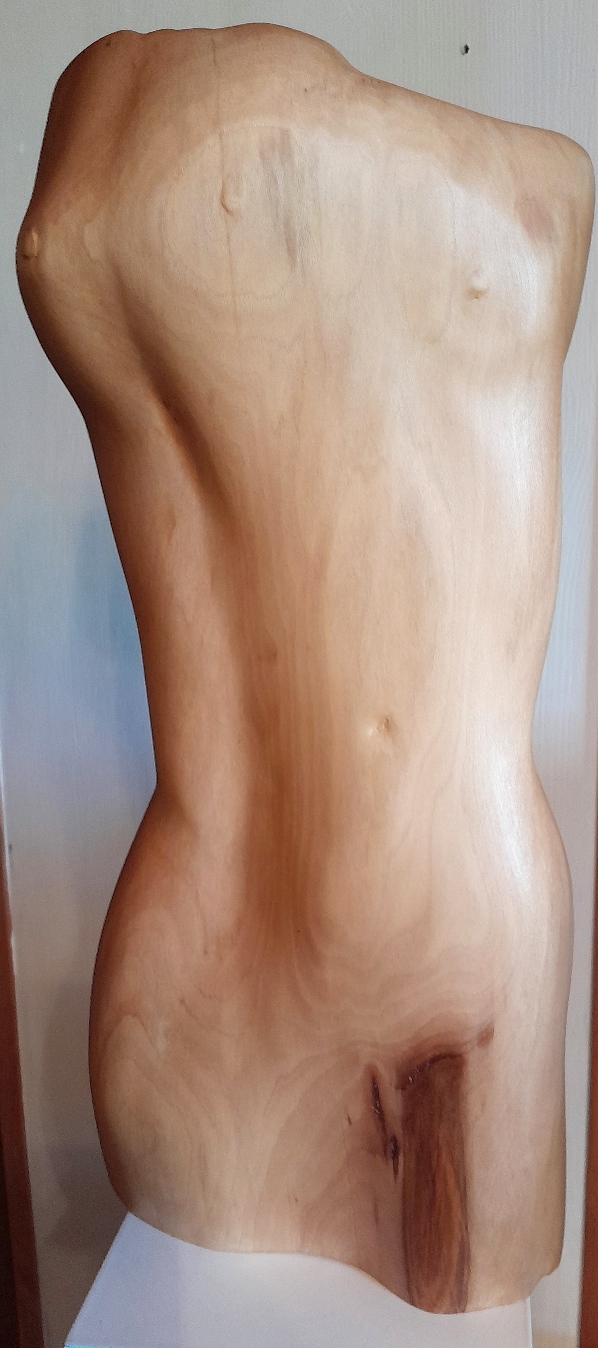 torso