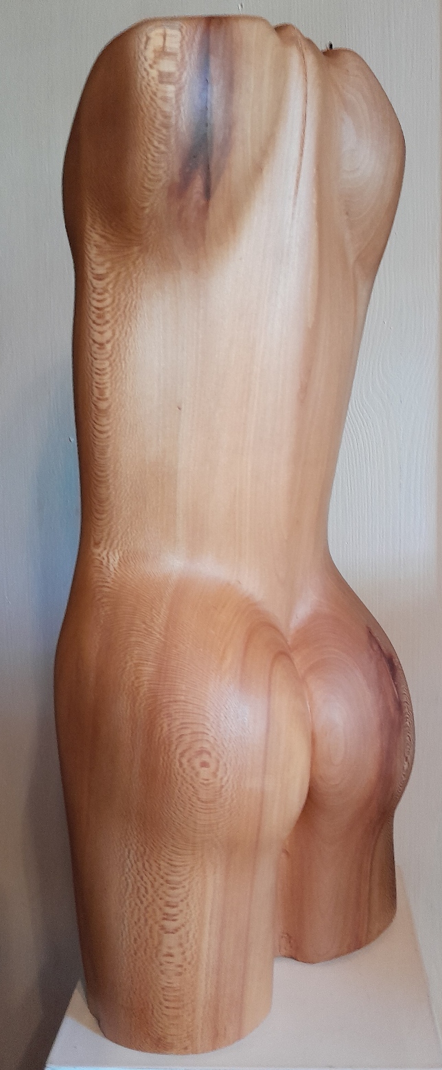 torso