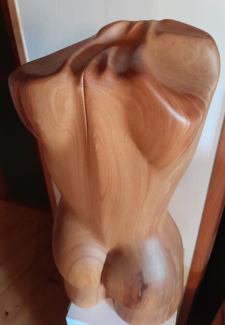 torso